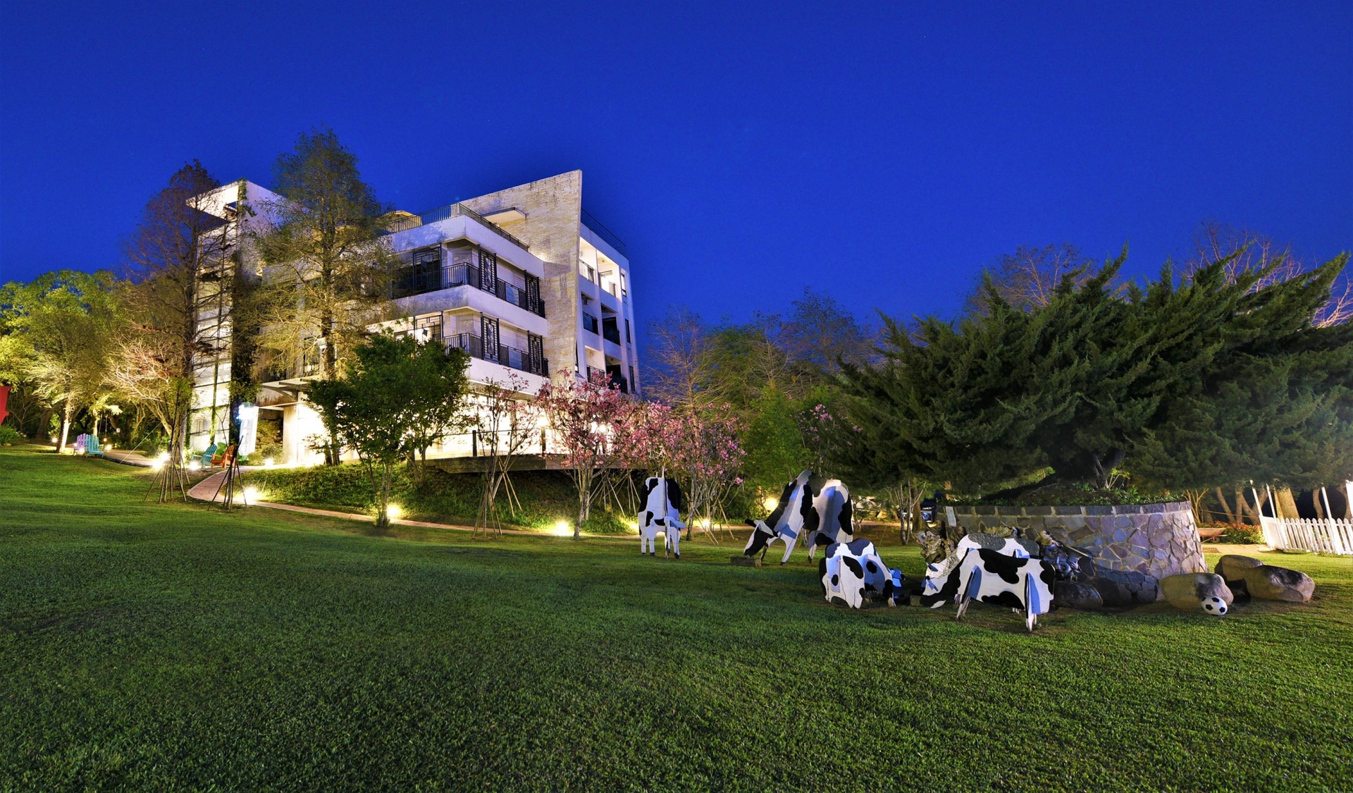 Carousel Image 1